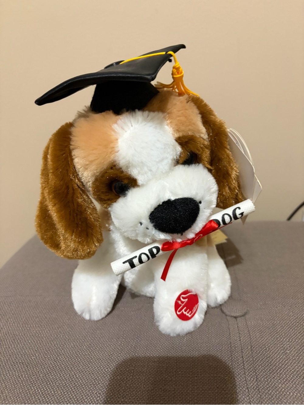 Plush dog Graduation gift